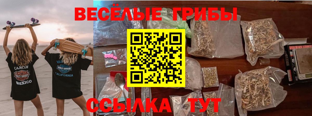 Галлюциногенные грибы Cubensis  Вход с VPN  Тосно 